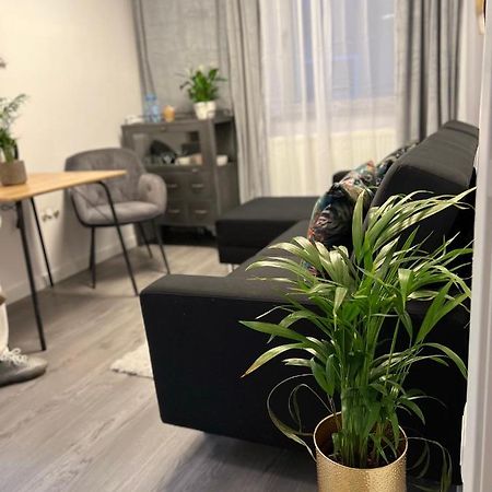 Musai Apartment Брашов Экстерьер фото