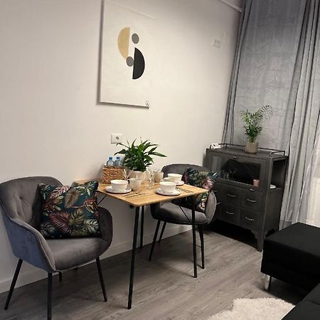 Musai Apartment Брашов Экстерьер фото