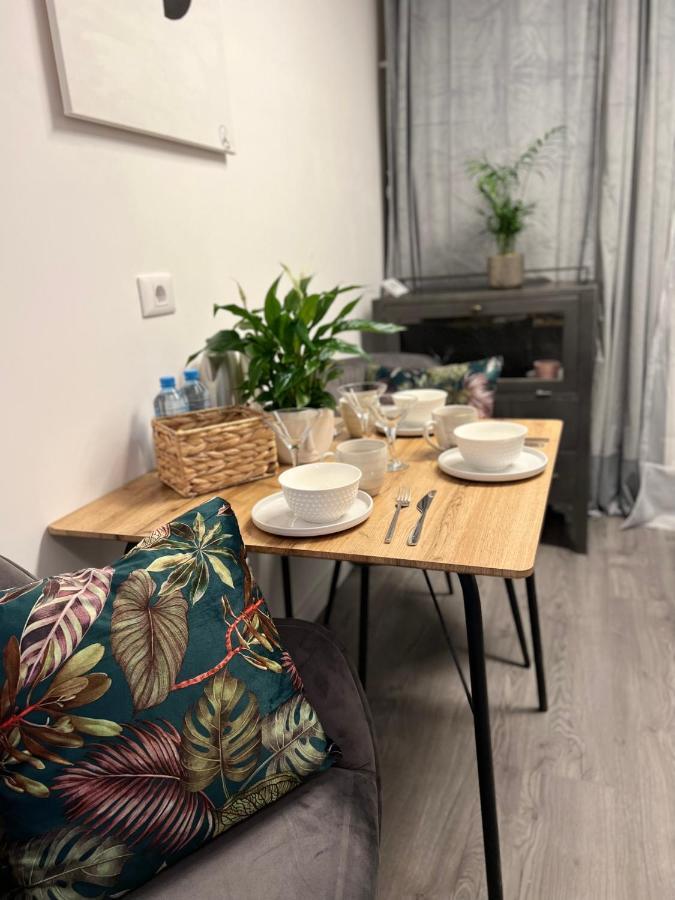 Musai Apartment Брашов Экстерьер фото